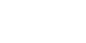 HAVAL logo